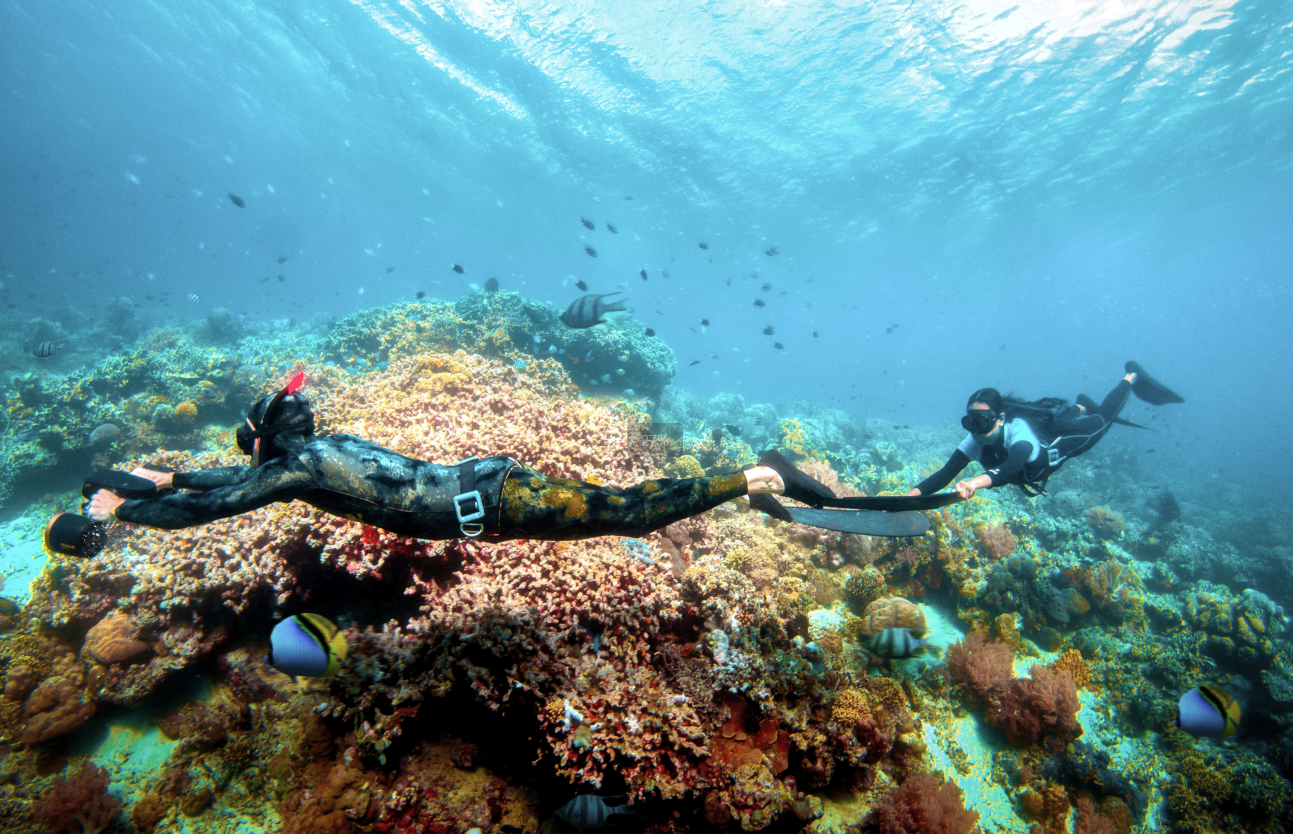 Two snorkelers explore marine life with underwater scooter